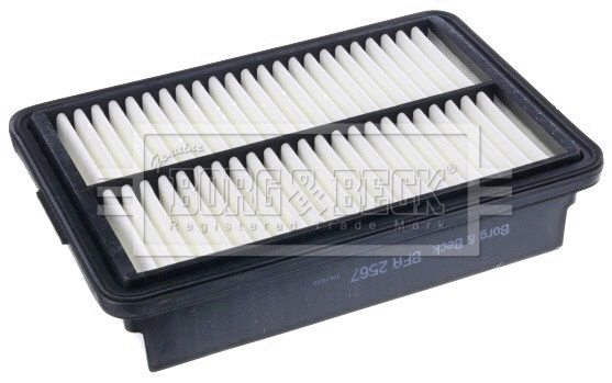 Air Filter (BFA2567)