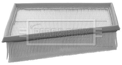 Air Filter (BFA2114)