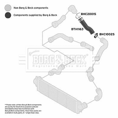 Charge Air Hose (BTH1163)