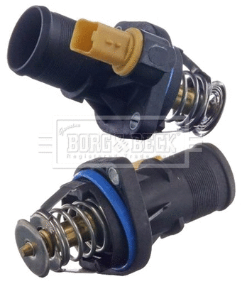 Thermostat, coolant (BBT187)
