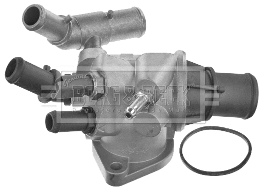 Thermostat, coolant (BBT317)