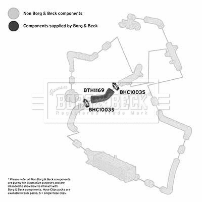 Charge Air Hose (BTH1169)