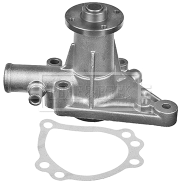 Water Pump, engine cooling (BWP1115)