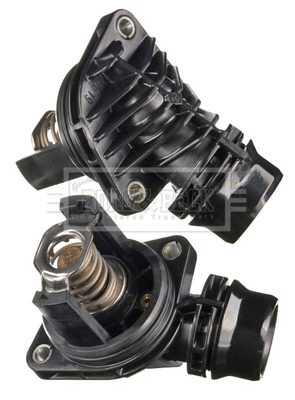 Thermostat, coolant (BBT521)