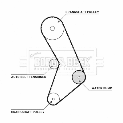 Water Pump & Timing Belt Kit (BTW1030)