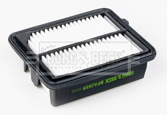 Air Filter (BFA2689)