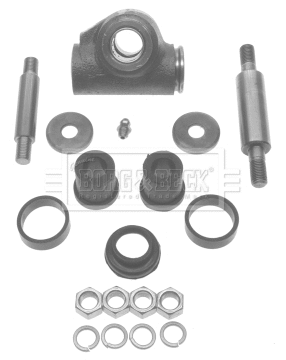 Repair Kit, wheel suspension (BSK5900)