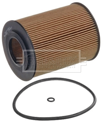 Oil Filter (BFO4237)