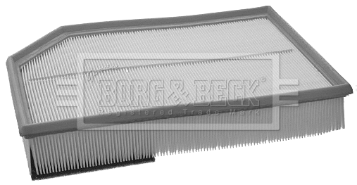 Air Filter (BFA2170)