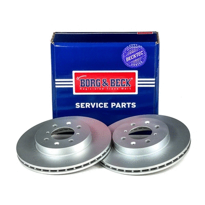 Brake Disc (BBD4081)
