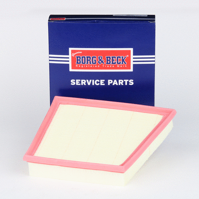 Air Filter (BFA2557)