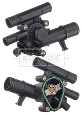 Thermostat, coolant (BBT283)