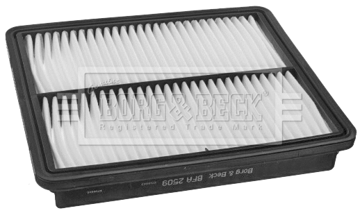 Air Filter (BFA2509)
