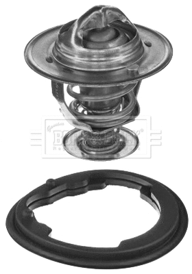 Thermostat, coolant (BBT061)