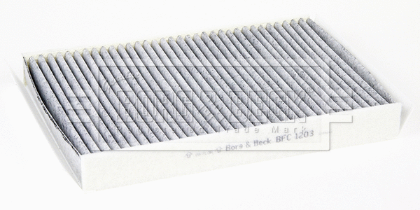 Filter, cabin air (BFC1203)