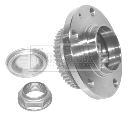 Wheel Bearing Kit (BWK791)