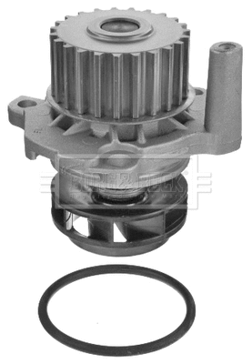 Water Pump, engine cooling (BWP2135)
