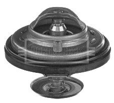 Thermostat, coolant (BBT280)