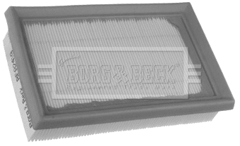 Air Filter (BFA2419)