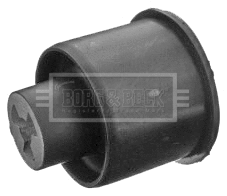 Mounting, control/trailing arm (BSK6066)