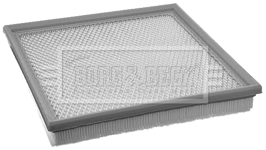 Air Filter (BFA2166)