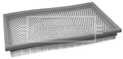 Air Filter (BFA2204)