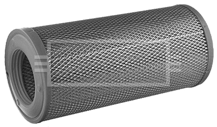 Air Filter (BFA2125)