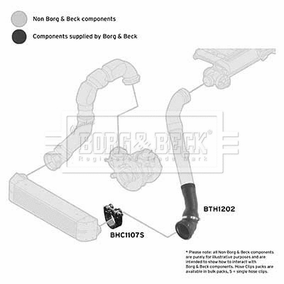 Charge Air Hose (BTH1202)