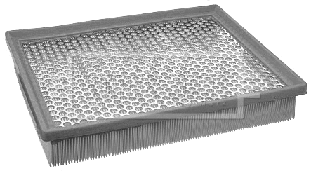 Air Filter (BFA2073)