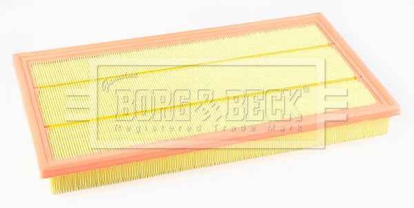 Air Filter (BFA2671)