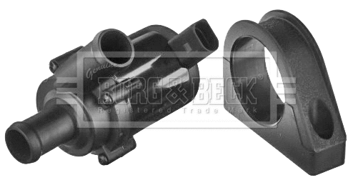 Auxiliary Water Pump (cooling water circuit) (BWP3030)