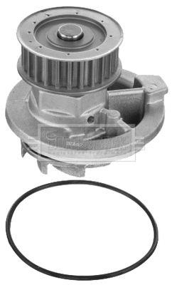 Water Pump, engine cooling (BWP1576)