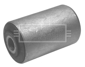 Mounting, control/trailing arm (BSK6431)