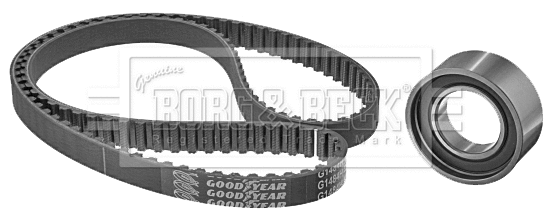 Timing Belt Kit (BTK1029)
