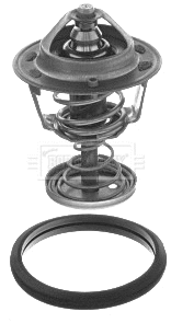 Thermostat, coolant (BBT183)