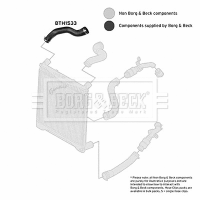Charge Air Hose (BTH1533)