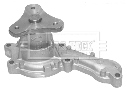 Water Pump, engine cooling (BWP2117)