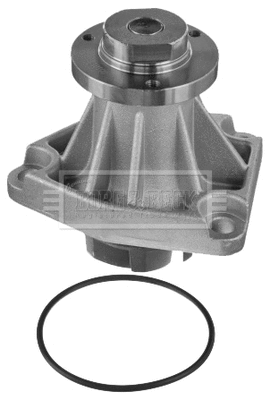 Water Pump, engine cooling (BWP1734)