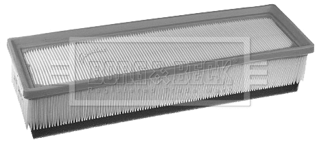 Air Filter (BFA2269)