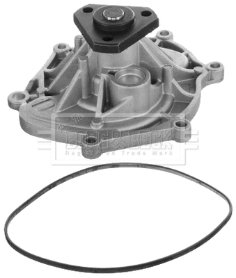 Water Pump, engine cooling (BWP2397)