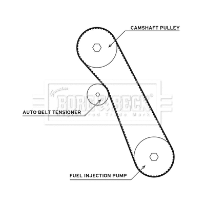 Water Pump & Timing Belt Kit (BTW1049)