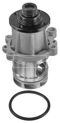 Water Pump, engine cooling (BWP1498)