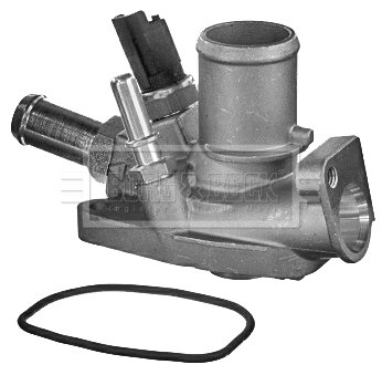 Thermostat, coolant (BBT296)
