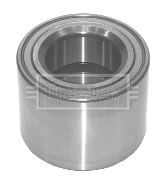 Wheel Bearing Kit (BWK768)