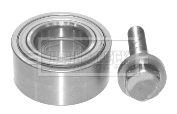 Wheel Bearing Kit (BWK479)