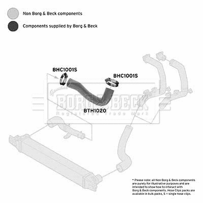 Charge Air Hose (BTH1020)