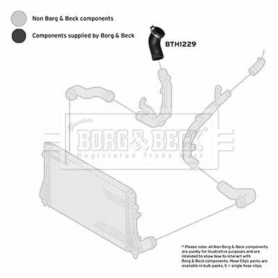 Charge Air Hose (BTH1229)