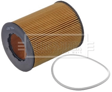 Oil Filter (BFO4204)
