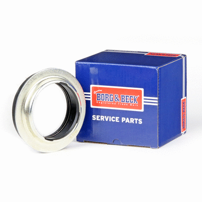 Rolling Bearing, suspension strut support mount