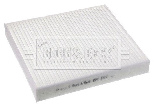 Filter, cabin air (BFC1317)
